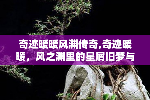 奇迹暖暖风渊传奇,奇迹暖暖，风之渊里的星屑旧梦与织梦旅途