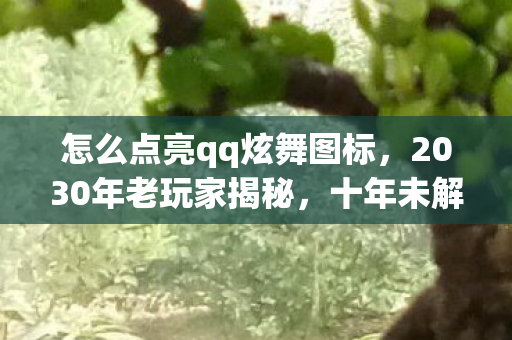 怎么点亮qq炫舞图标，2030年老玩家揭秘，十年未解之谜！炫舞图标竟藏惊天点亮法则