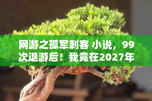 网游之孤军刺客 小说，99次退游后！我竟在2027年孤军刺客里杀穿全服？