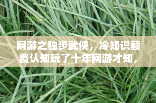 网游之独步武侠,冷知识颠覆认知玩了十年网游才知,这些常识让我目瞪口呆! 网游之独步武侠,冷知识颠覆认知玩了十年网游才知,这些常识让我目瞪口呆!