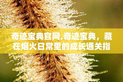 奇迹宝典官网,奇迹宝典,藏在烟火日常里的成长通关指南 奇迹宝典官网,奇迹宝典,藏在烟火日常里的成长通关指南