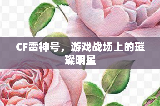游戏战场上的璀璨明星图片