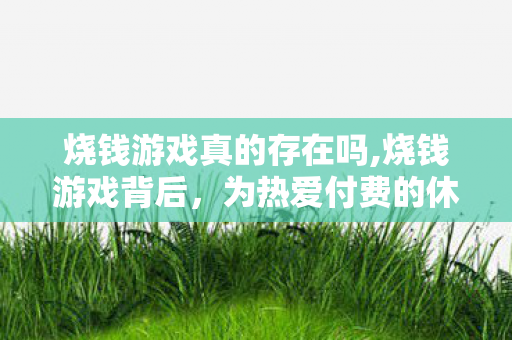 烧钱游戏真的存在吗,烧钱游戏背后,为热爱付费的休闲新选择 烧钱游戏真的存在吗,烧钱游戏背后,为热爱付费的休闲新选择
