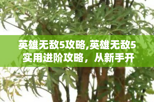 英雄无敌5攻略,英雄无敌5 实用进阶攻略，从新手开荒到战役通关的核心玩法指南