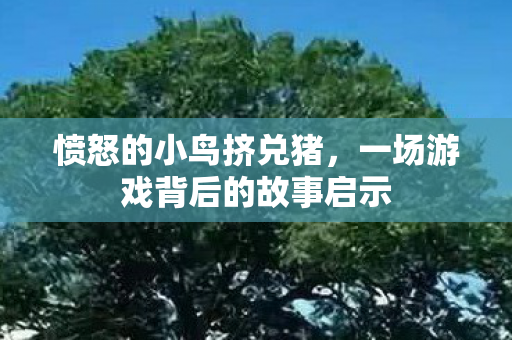 一场游戏背后的故事启示图片
