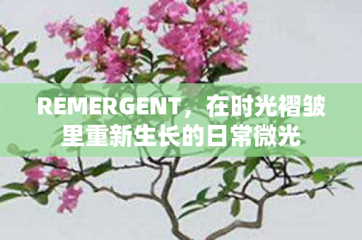REMERGENT，在时光褶皱里重新生长的日常微光