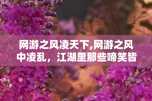 网游之风凌天下,网游之风中凌乱，江湖里那些啼笑皆非的鲜活日常