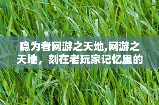 隐为者网游之天地,网游之天地，刻在老玩家记忆里的5200段青春印记