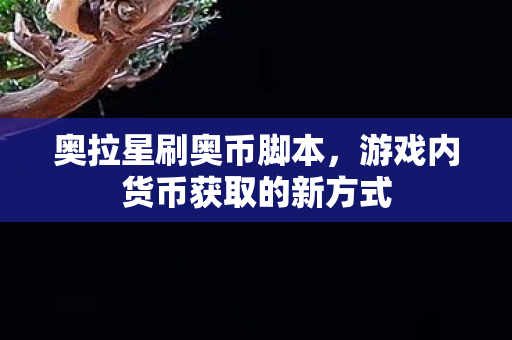 游戏内货币获取的新方式图片