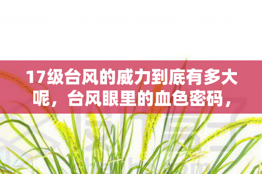 17级台风的威力到底有多大呢，台风眼里的血色密码，2027年消失的17级风暴藏着什么致命真相？