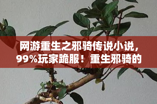 网游重生之邪骑传说小说，99%玩家跪服！重生邪骑的逆天开挂体验，爽到头皮发麻！