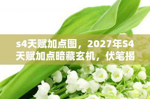 s4天赋加点图，2027年S4天赋加点暗藏玄机，伏笔揭开时，我鼻子一酸忆旧情