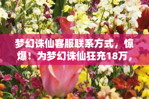 梦幻诛仙客服联系方式,惊爆!为梦幻诛仙狂充18万,老婆签离婚协议,我悔不当初! 梦幻诛仙客服联系方式,惊爆!为梦幻诛仙狂充18万,老婆签离婚协议,我悔不当初!