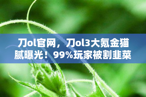 刀ol官网，刀ol3大氪金猫腻曝光！99%玩家被割韭菜还喊真香？