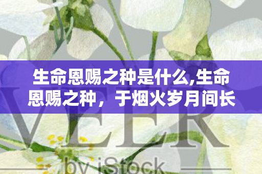 生命恩赐之种是什么,生命恩赐之种,于烟火岁月间长出漫山暖意 生命恩赐之种是什么,生命恩赐之种,于烟火岁月间长出漫山暖意