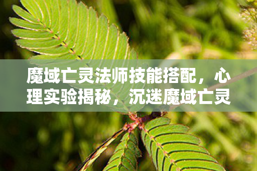 魔域亡灵法师技能搭配,心理实验揭秘,沉迷魔域亡灵法师技能,细思极恐的自我囚禁 魔域亡灵法师技能搭配,心理实验揭秘,沉迷魔域亡灵法师技能,细思极恐的自我囚禁