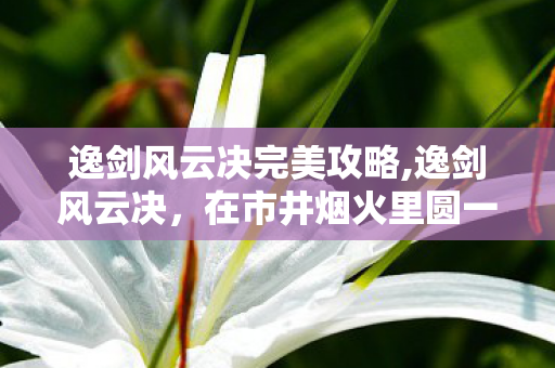 逸剑风云决完美攻略,逸剑风云决,在市井烟火里圆一场松弛的武侠旧梦 逸剑风云决完美攻略,逸剑风云决,在市井烟火里圆一场松弛的武侠旧梦