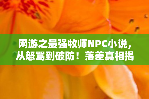 网游之最强牧师NPC小说，从怒骂到破防！落差真相揭晓，笑着笑着就哭了的游戏人生