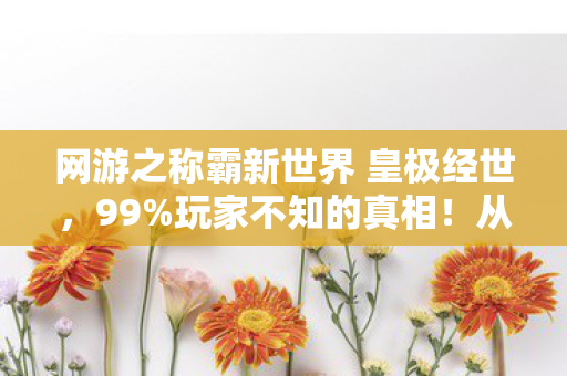 网游之称霸新世界 皇极经世,99%玩家不知的真相!从社畜到新世界主宰,我的血泪逆袭路 网游之称霸新世界 皇极经世,99%玩家不知的真相!从社畜到新世界主宰,我的血泪逆袭路
