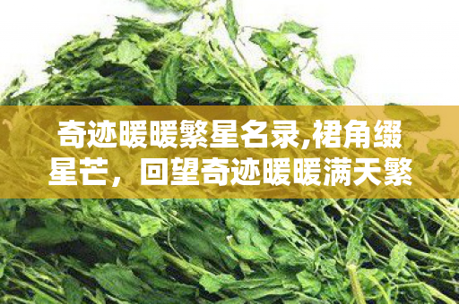 奇迹暖暖繁星名录,裙角缀星芒,回望奇迹暖暖满天繁星二期的温柔旧时光 奇迹暖暖繁星名录,裙角缀星芒,回望奇迹暖暖满天繁星二期的温柔旧时光