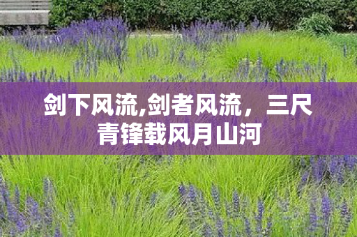 剑下风流,剑者风流，三尺青锋载风月山河