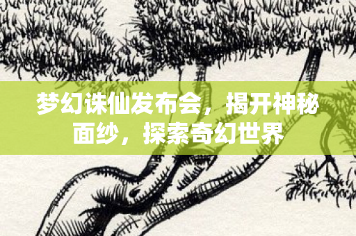 梦幻诛仙发布会图片