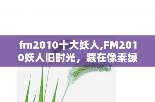 fm2010十大妖人,FM2010妖人旧时光，藏在像素绿茵里的青春足球梦
