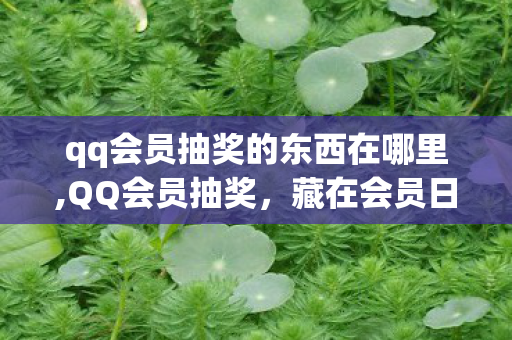 qq会员抽奖的东西在哪里,QQ会员抽奖,藏在会员日常里的专属小确幸 qq会员抽奖的东西在哪里,QQ会员抽奖,藏在会员日常里的专属小确幸