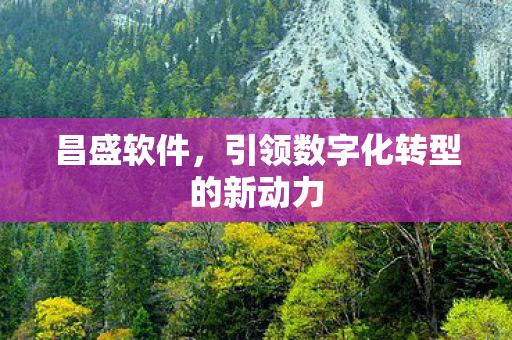 引领数字化转型的新动力图片