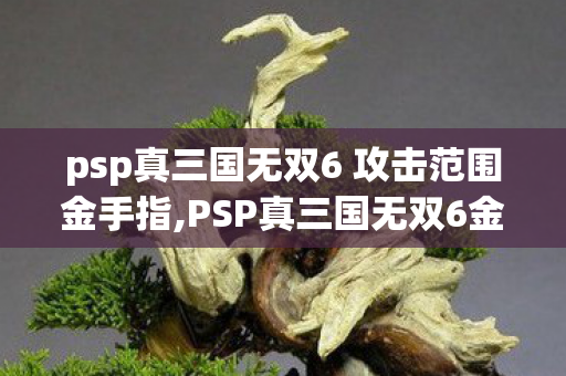 psp真三国无双6 攻击范围金手指,PSP真三国无双6金手指,掌机时代的趣味玩法补充 psp真三国无双6 攻击范围金手指,PSP真三国无双6金手指,掌机时代的趣味玩法补充