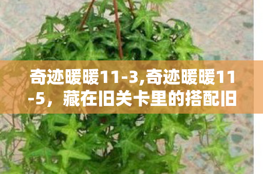 奇迹暖暖11-3,奇迹暖暖11-5,藏在旧关卡里的搭配旧时光 奇迹暖暖11-3,奇迹暖暖11-5,藏在旧关卡里的搭配旧时光