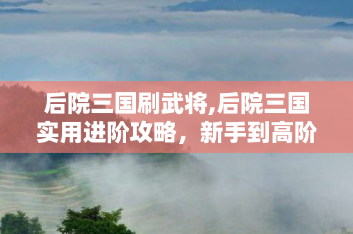 后院三国刷武将,后院三国实用进阶攻略,新手到高阶城主的全流程成长指南 后院三国刷武将,后院三国实用进阶攻略,新手到高阶城主的全流程成长指南