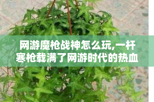 网游魔枪战神怎么玩,一杆寒枪载满了网游时代的热血旧梦 网游魔枪战神怎么玩,一杆寒枪载满了网游时代的热血旧梦