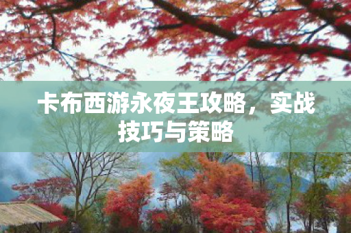 卡布西游永夜王攻略图片