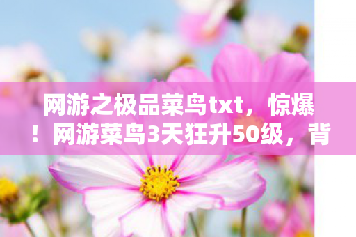 网游之极品菜鸟txt，惊爆！网游菜鸟3天狂升50级，背后竟藏惊天逆袭秘籍？