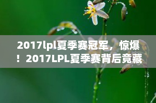 2017lpl夏季赛冠军，惊爆！2017LPL夏季赛背后竟藏500万隐情，真相让人吓一跳！