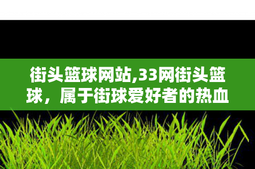 街头篮球网站,33网街头篮球，属于街球爱好者的热血青春营地