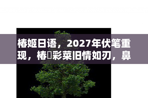 椿姬日语，2027年伏笔重现，椿姫彩菜旧情如刃，鼻子一酸忆往昔