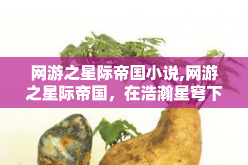 网游之星际帝国小说,网游之星际帝国，在浩瀚星穹下书写文明远征的浪漫史诗