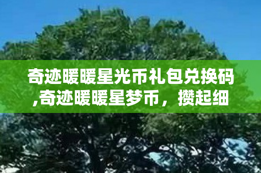 奇迹暖暖星光币礼包兑换码,奇迹暖暖星梦币，攒起细碎星光，织就衣橱里的浪漫梦