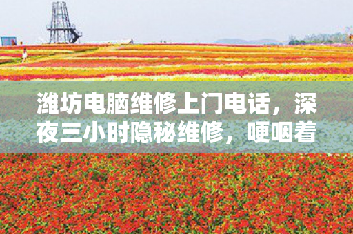 潍坊电脑维修上门电话，深夜三小时隐秘维修，哽咽着修好那台存满青春的旧电脑