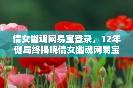 倩女幽魂网易宝登录，12年谜局终揭晓倩女幽魂网易宝，从虚拟到现实的泪目轮回