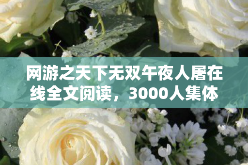 网游之天下无双午夜人屠在线全文阅读，3000人集体退坑？天下无双惊现数据黑洞真相绷不住了！