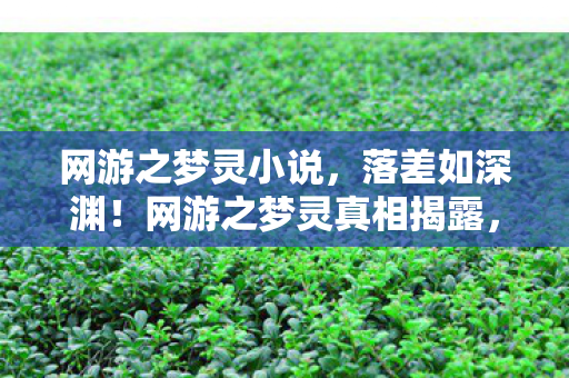 网游之梦灵小说,落差如深渊!网游之梦灵真相揭露,笑着笑着,泪已决堤 网游之梦灵小说,落差如深渊!网游之梦灵真相揭露,笑着笑着,泪已决堤
