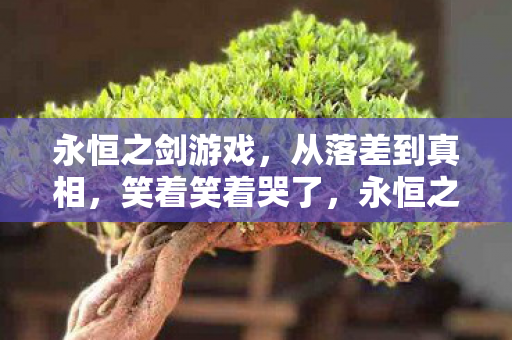 永恒之剑游戏，从落差到真相，笑着笑着哭了，永恒之剑的轮回执念