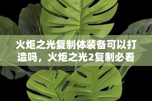 火炬之光复制体装备可以打造吗,火炬之光2复制必看3大核心心得+5个致命避坑指南,新手秒变大神! 火炬之光复制体装备可以打造吗,火炬之光2复制必看3大核心心得+5个致命避坑指南,新手秒变大神!