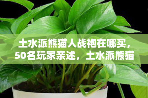土水派熊猫人战袍在哪买，50名玩家亲述，土水派熊猫人战袍隐藏属性竟让99%人绷不住？