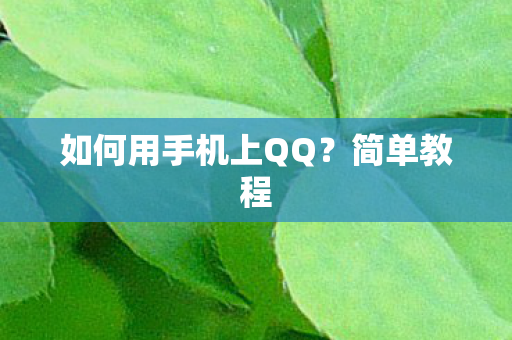 如何用手机上QQ图片