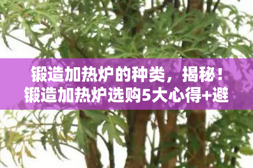 锻造加热炉的种类，揭秘！锻造加热炉选购5大心得+避坑指南，助你少走弯路！