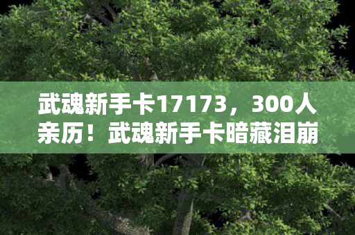 武魂新手卡17173，300人亲历！武魂新手卡暗藏泪崩玄机？网吧众生相绷不住了